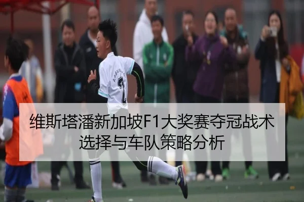 维斯塔潘新加坡F1大奖赛夺冠战术选择与车队策略分析 - k1sports